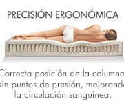 precision-ergonomica