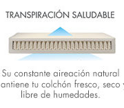 transpiracion-saludable